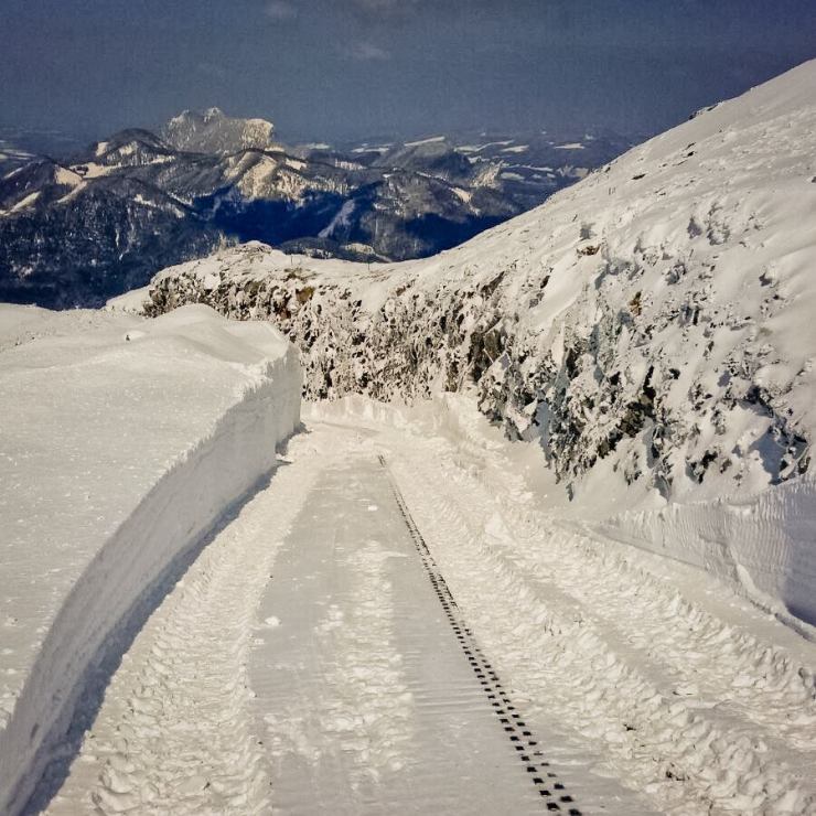 18199040_1336886049680687_6087484348355773719_n