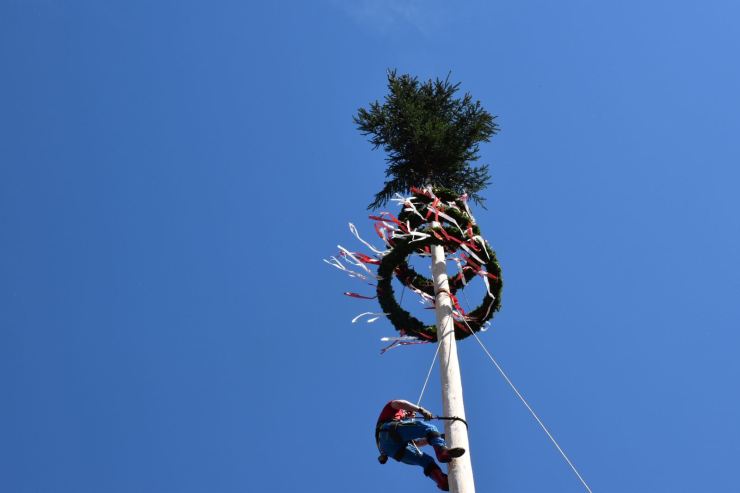 18_IMG-20170501-WA0063