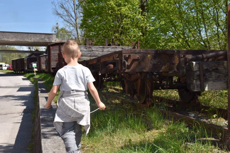 3_IMG-20170501-WA0071