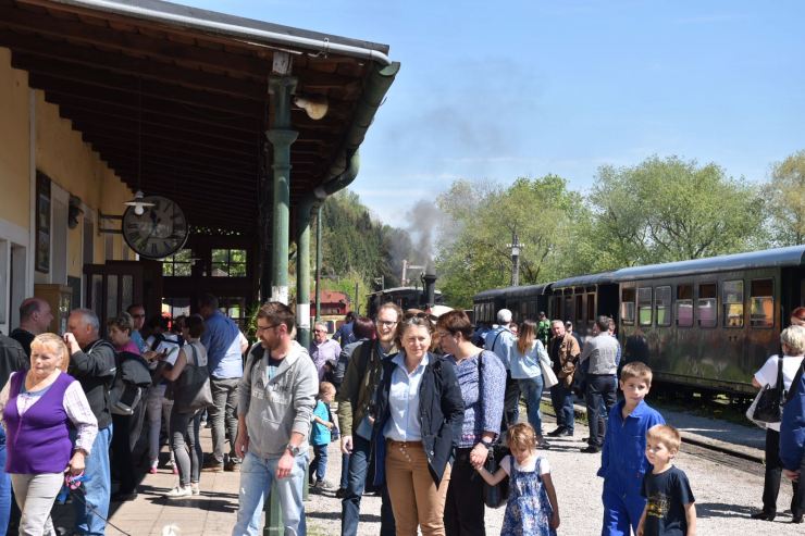 5_IMG-20170501-WA0076